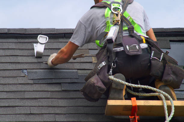 Best Metal Roofing Contractor  in Castlewood, VA