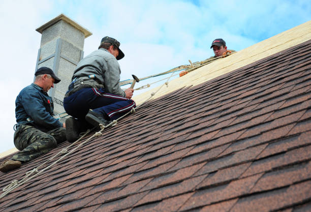 Best Roof Leak Repair  in Castlewood, VA