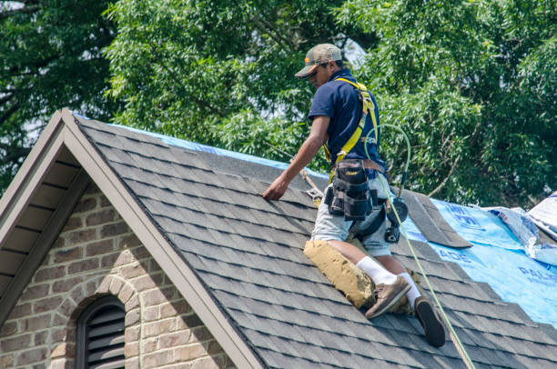 Best Sealant for Roof  in Castlewood, VA